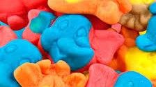 Bulk Gummy Zoo Buddies