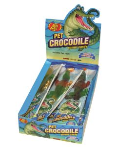 Pet Crocodile
