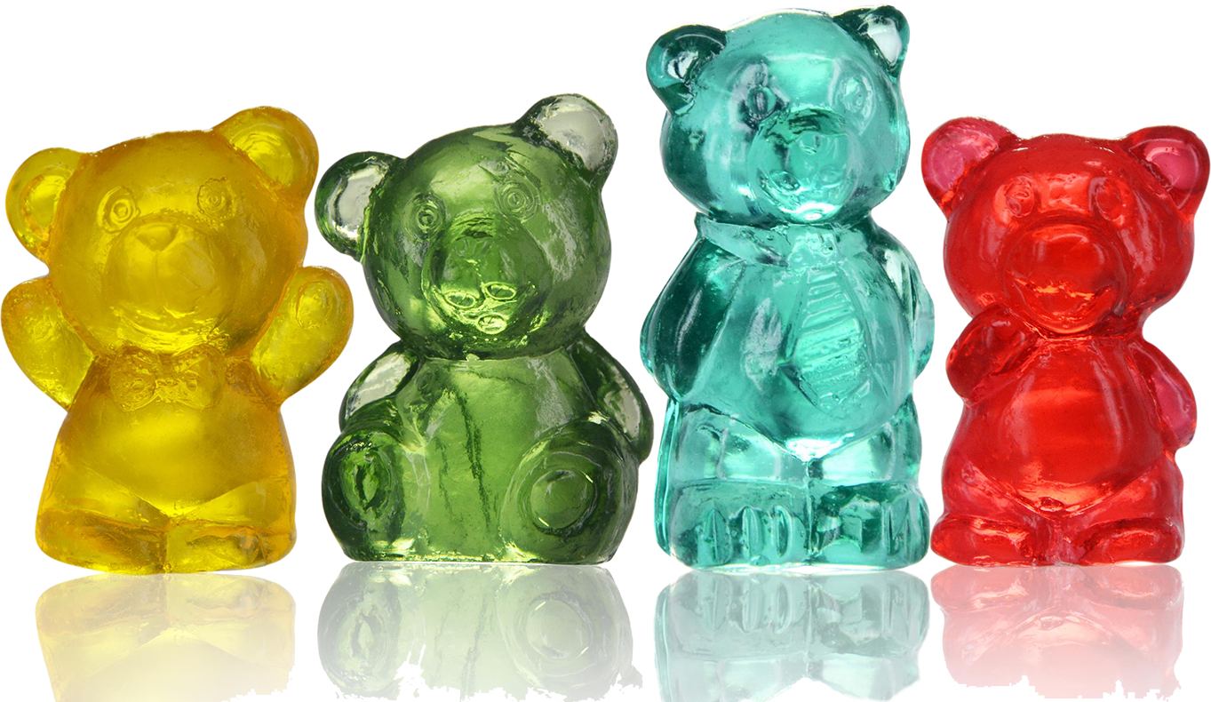 4D Bear Buddies